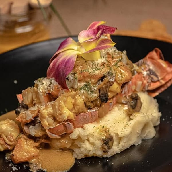Mamajuana Restaurant's lobster and mashed potatoes, garnished with an orchid, on a black plate.