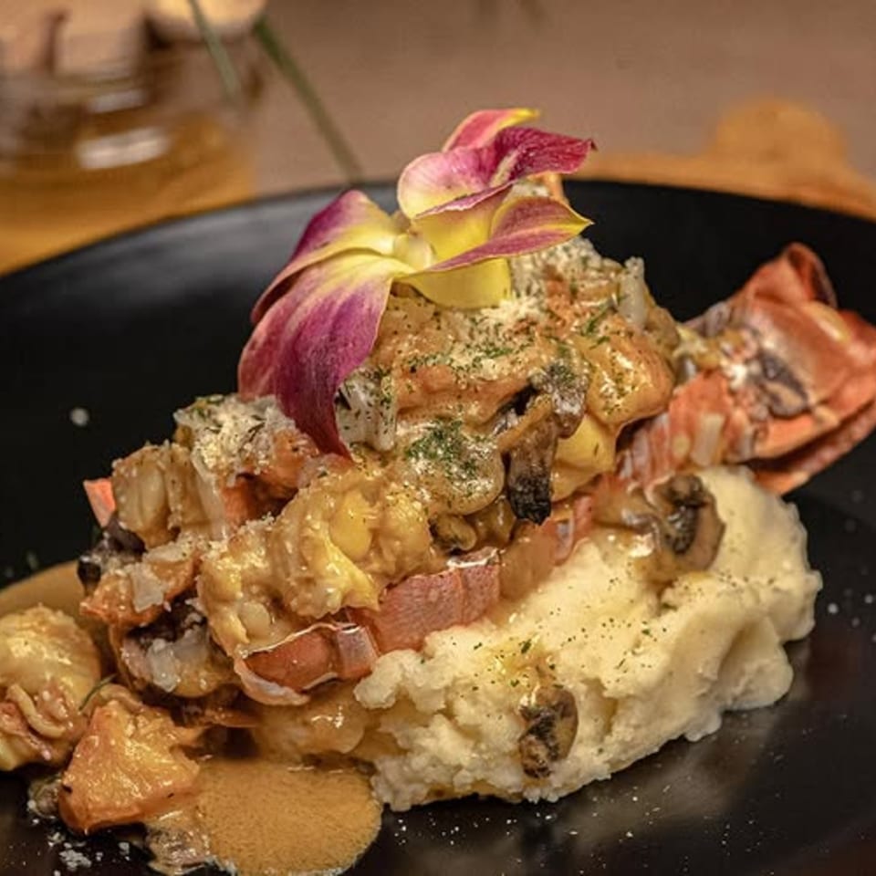 Mamajuana Restaurant's lobster and mashed potatoes, garnished with an orchid, on a black plate.
